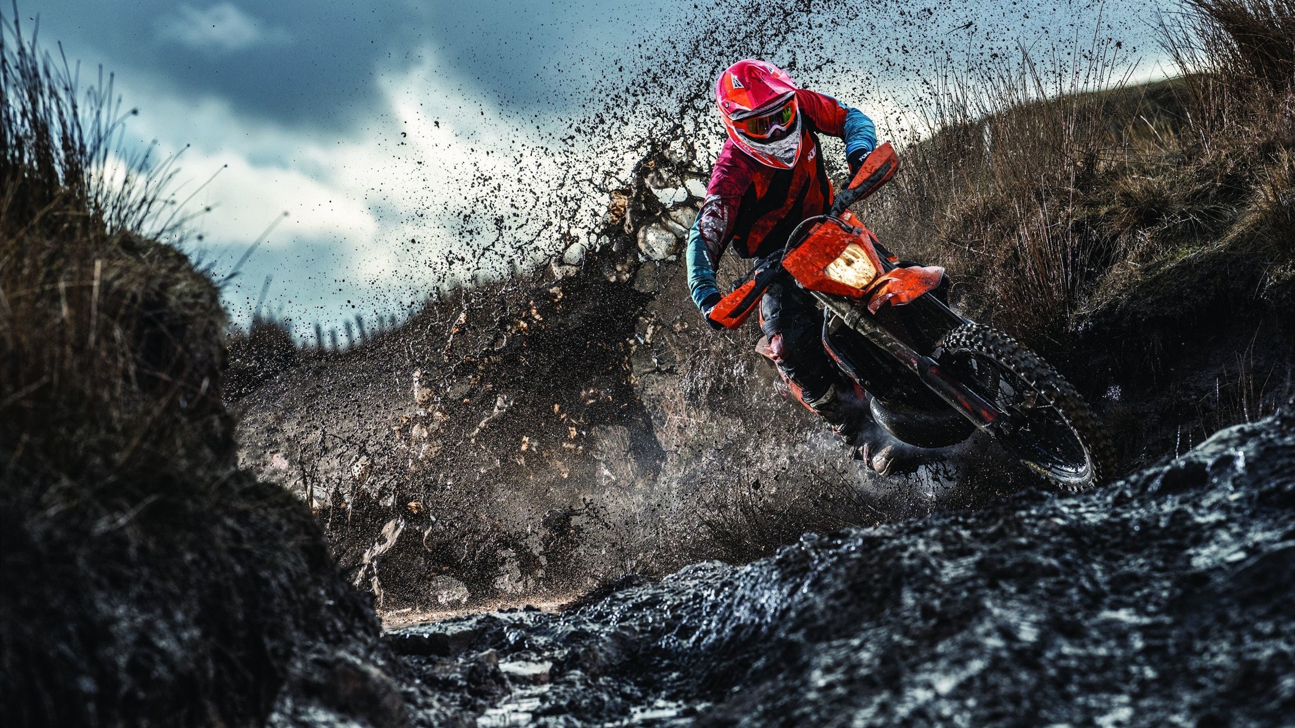 麦金托什女子800米自由泳赛道亮点频现，加拿大游泳运动员麦金托什