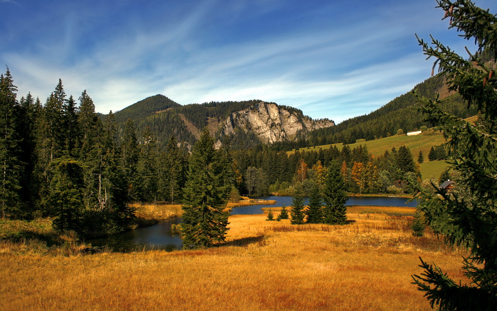 不莱梅追平德甲纪录,后防表现出色,不莱梅 球队