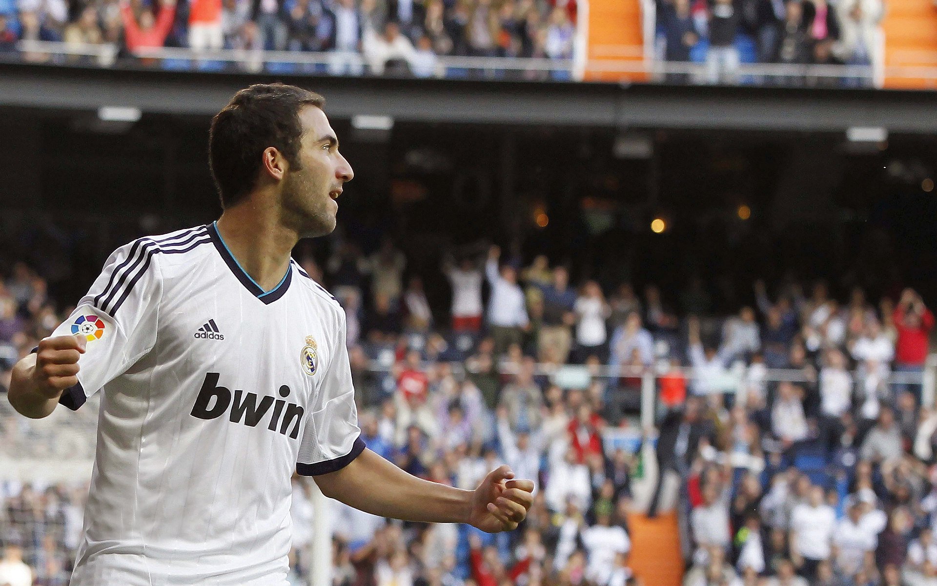 世界杯战场火热：每一场都精彩纷呈！，世界杯那场